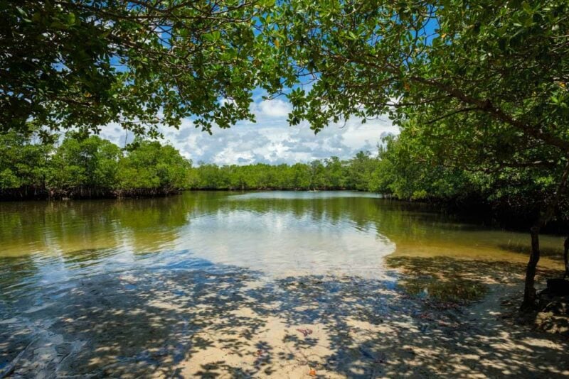 Miami Beach, Florida Bucket List: Oleta River Park