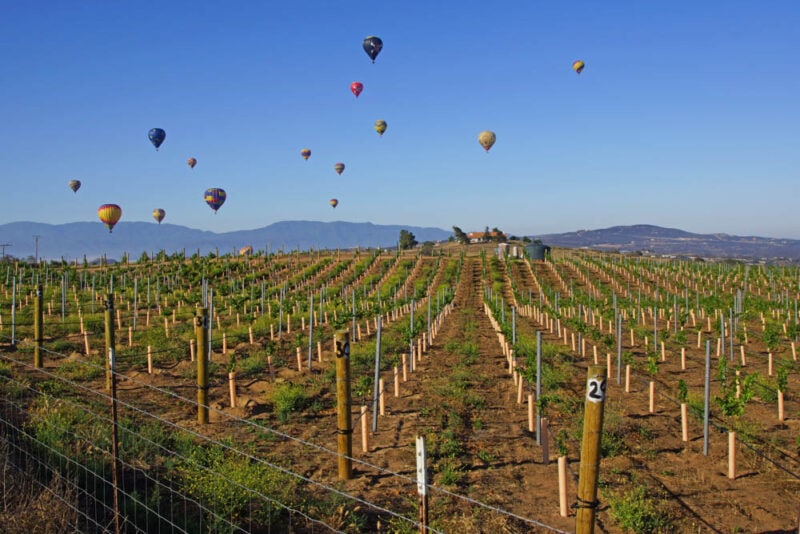 Must Visit Places in USA in September: Temecula Valley, California