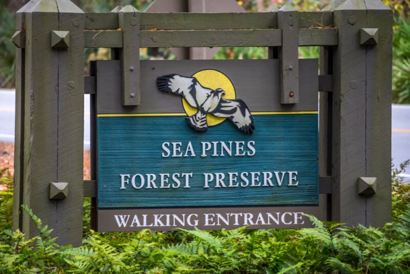 Unique Things to do in Hilton Head: Sea Pines Forest Preserve