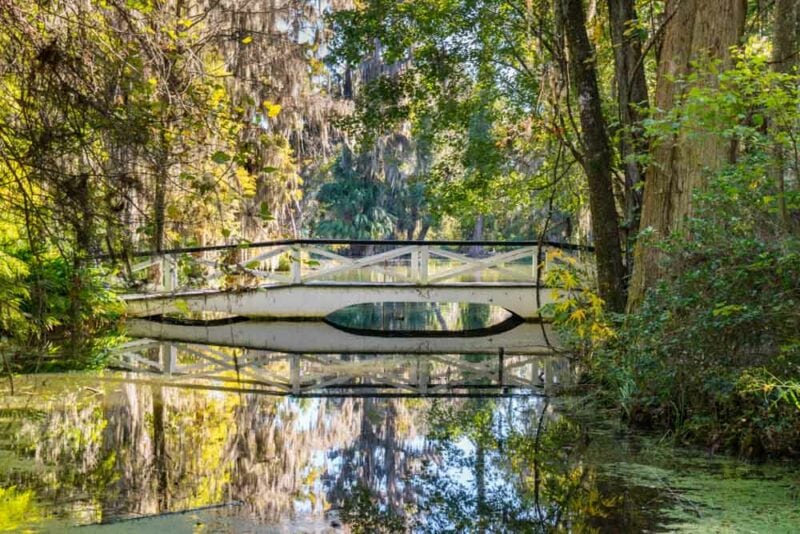 What to do in Charleston, South Carolina: Magnolia Plantation and Gardens