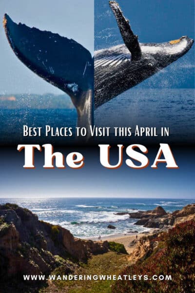 Best Places to Visit in the USA in April