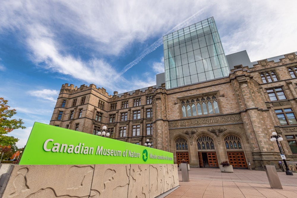 Best Things to do in Ottawa: Canadian Museum of Nature
