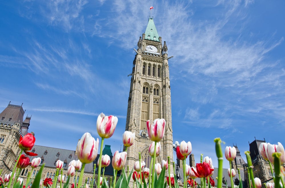 Best Things to do in Ottawa: Canadian Tulip Festival