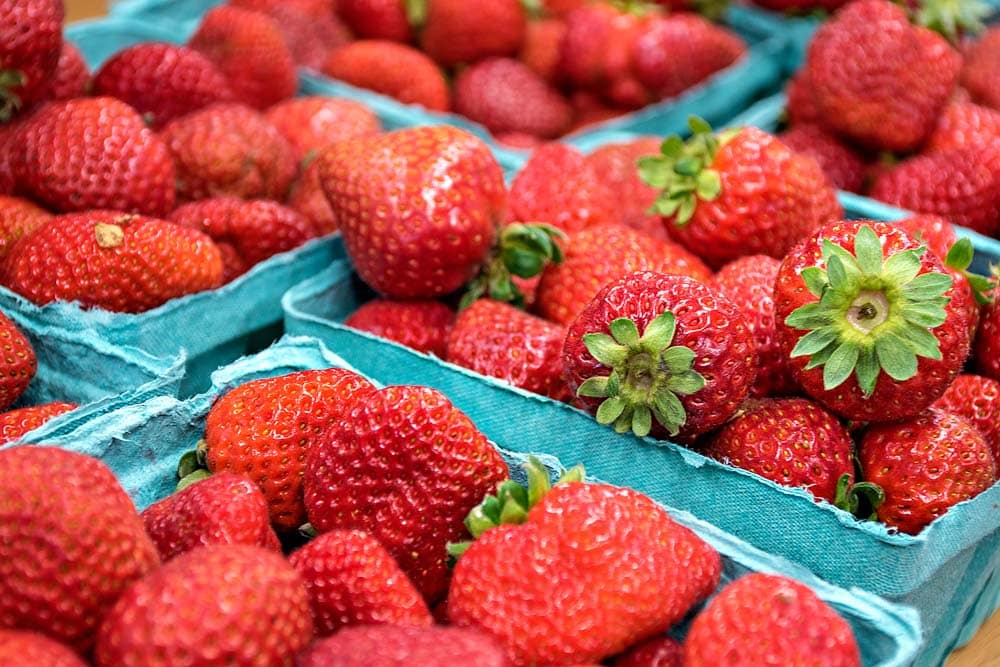 Best Things to do in Wilmington, North Carolina: Riverfront Farmers Market