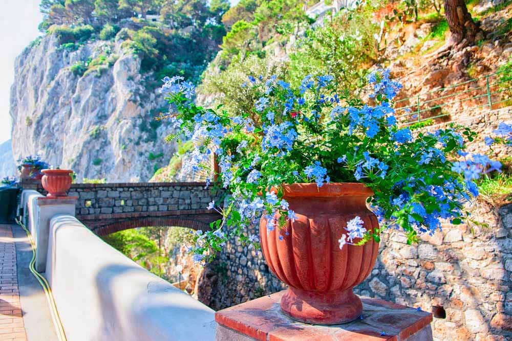 Capri Bucket List: Giardini di Augusto