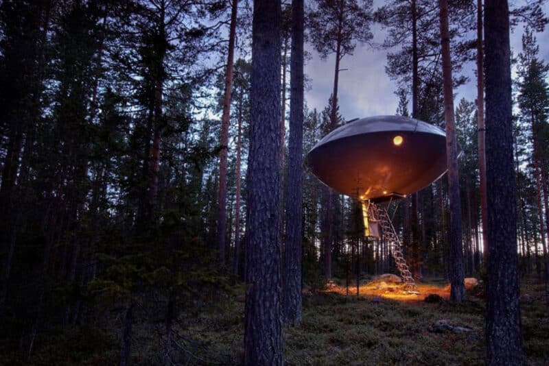 Unique Northern Lights Hotels: Treehotel