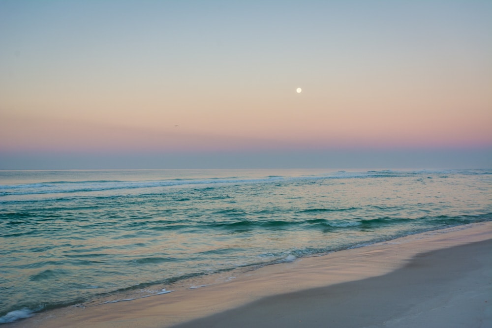 What to do in Panama City Beach, Florida: St Andrews State Park
