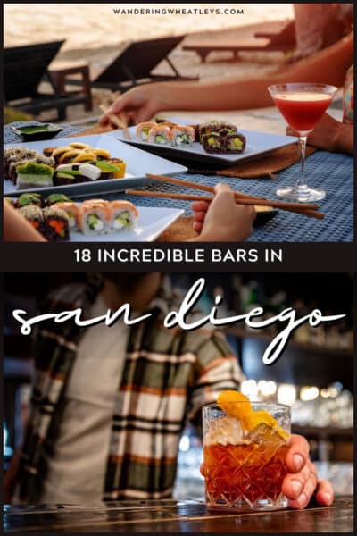 Best Bars in San Diego, California