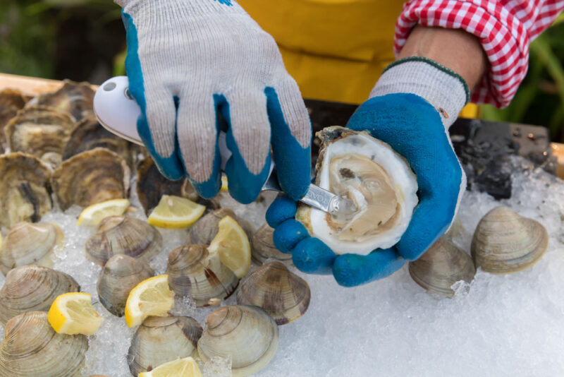 Best Foods to Try in Massachusetts: Oysters