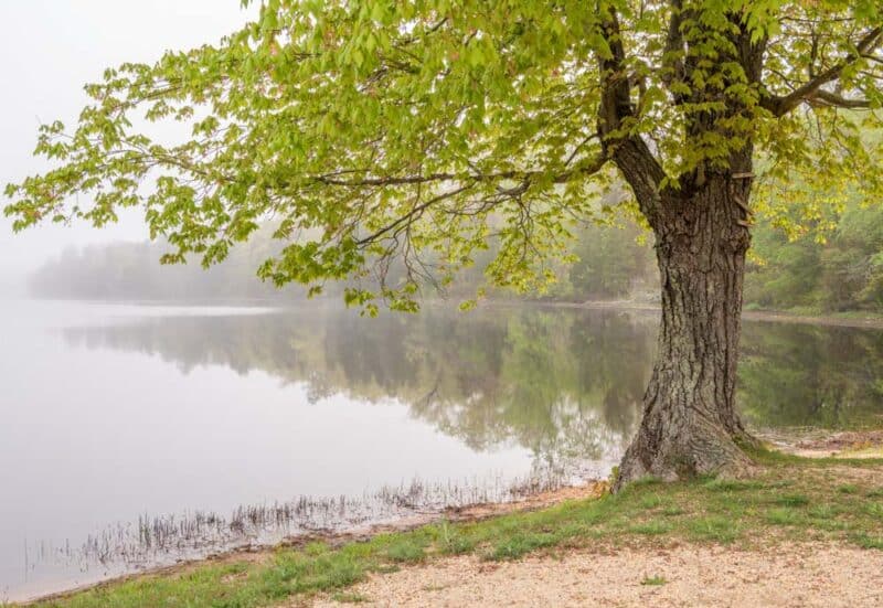Best Places to Visit in the USA in June: Spring Lake, New Jersey