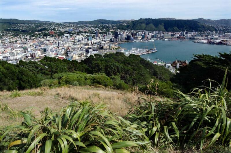 Best Things to do in Wellington, New Zealand: Mount Victoria
