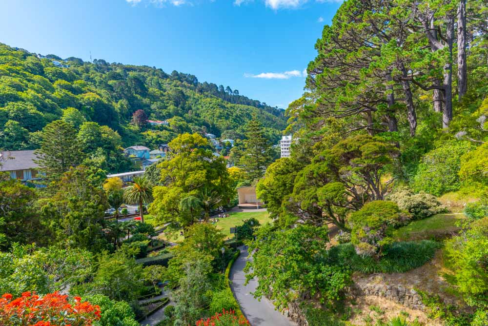 Best Things to do in Wellington, New Zealand: Wellington Botanic Gardens
