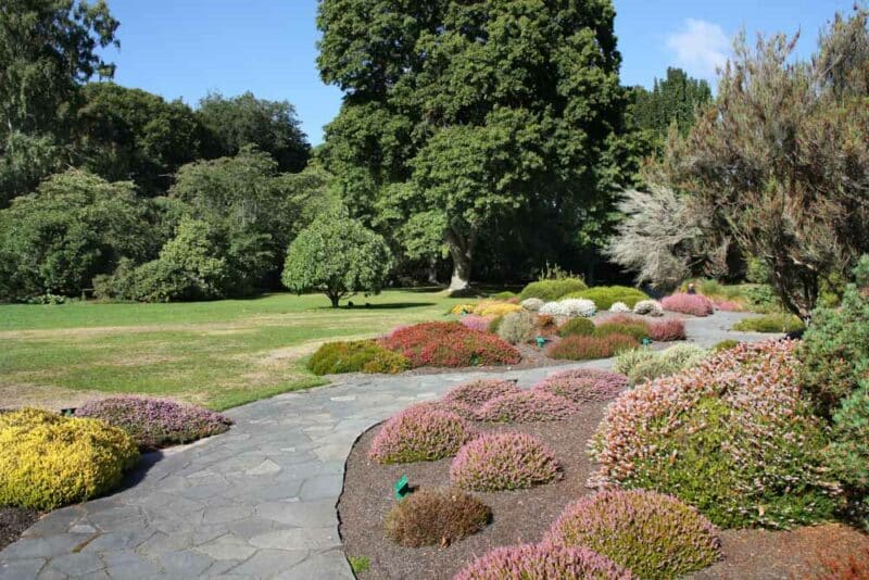Cool Things to do in Christchurch, New Zealand: Christchurch Botanic Park