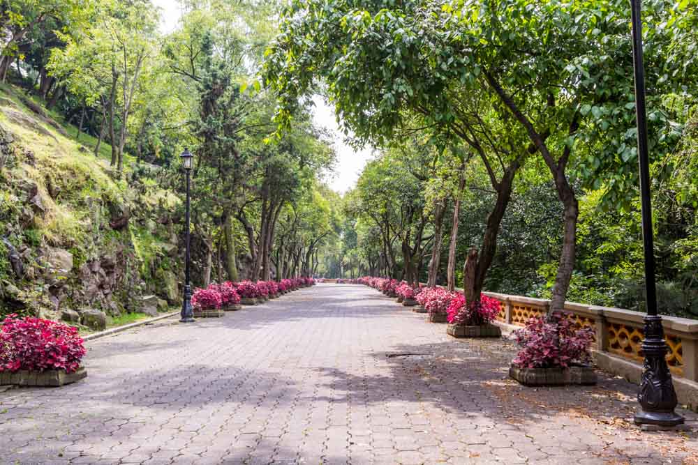 Fun Things to do in Mexico: Chapultepec Park