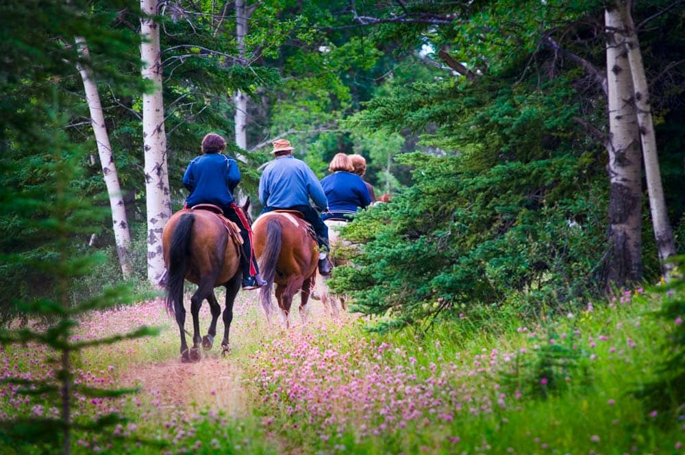 Lake Tahoe Things to do: Horseback Riding