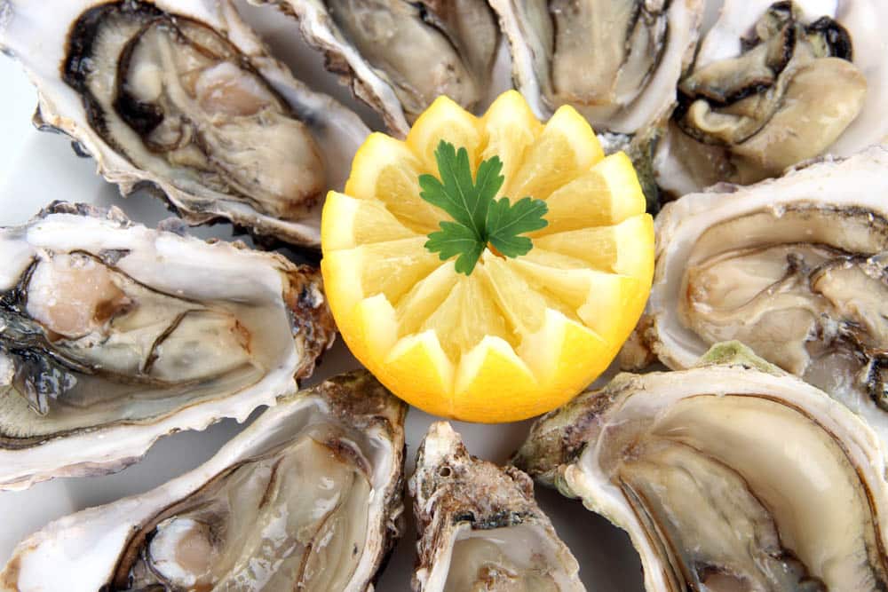 Massachusetts Foods to Eat: Oysters
