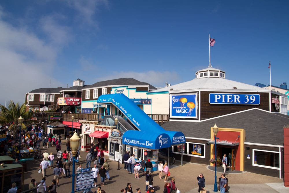 San Francisco 3 Day Itinerary Weekend Guide: Pier 39
