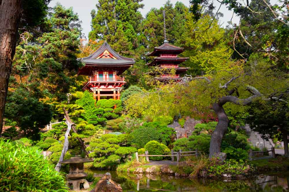 Weekend in San Francisco 3 Days Itinerary: Japanese Tea Garden