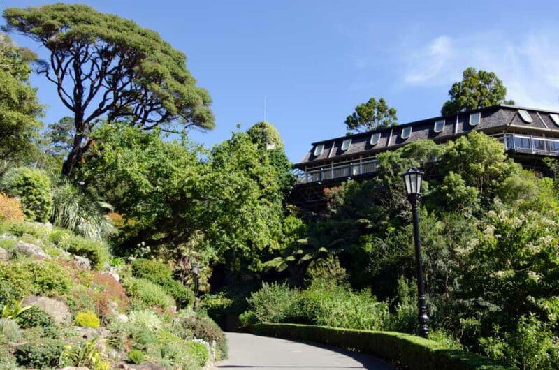 Wellington, New Zealand Things to do: Wellington Botanic Gardens