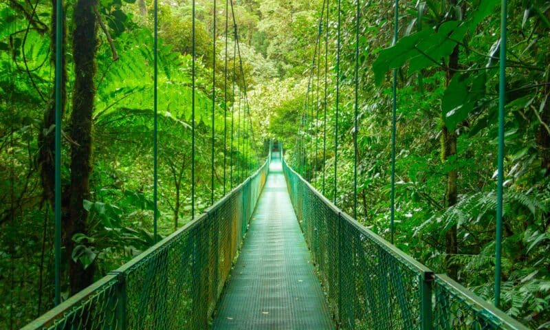 The Best Hotels in Monteverde, Costa Rica