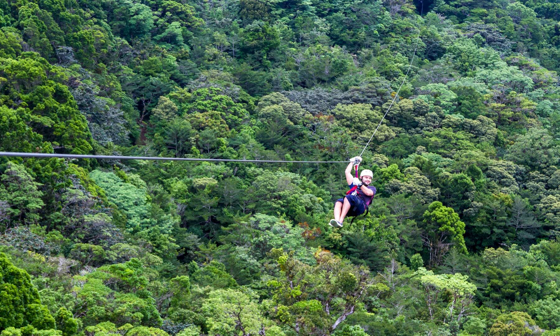 The Best Things to do in Monteverde, Costa Rica