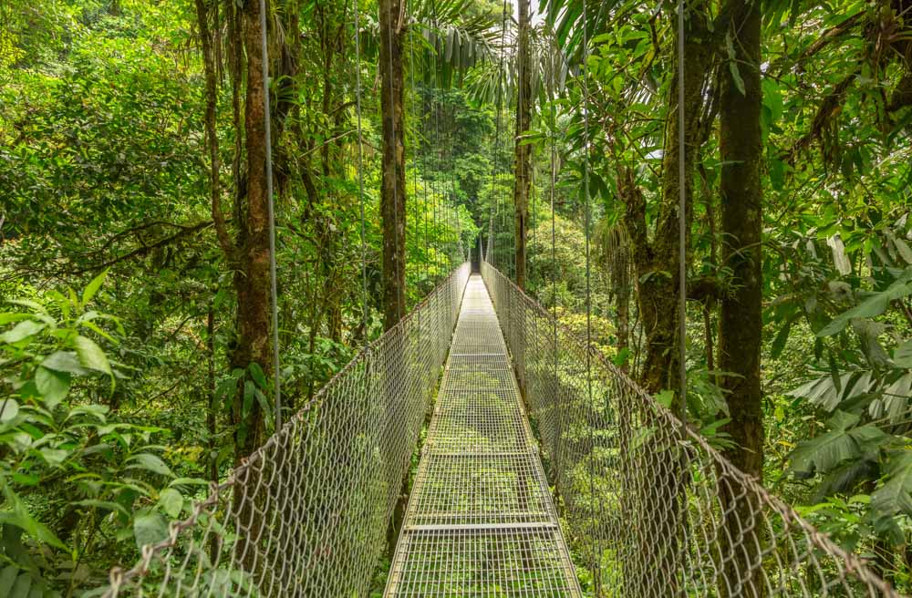 Best Things to do in Monteverde, Costa Rica: Monteverde Cloud Forest