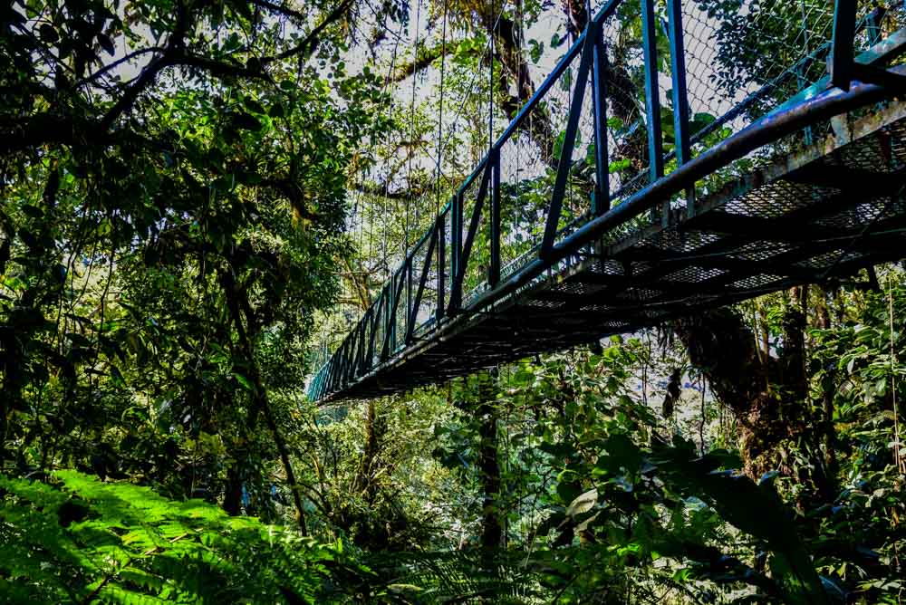 Must do things in Monteverde, Costa Rica: Sky High Hanging Bridges