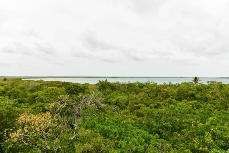Unique Things to do in Tulum, Mexico: Sian Ka'an Biosphere Reserve