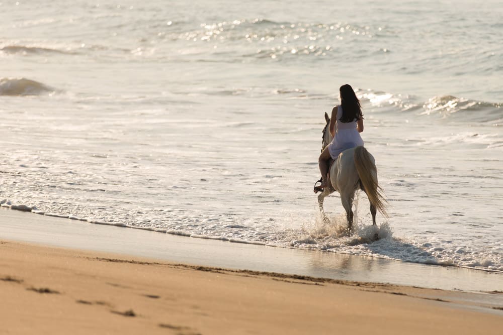 What to do in Block Island, Rhode Island: Horseback Riding