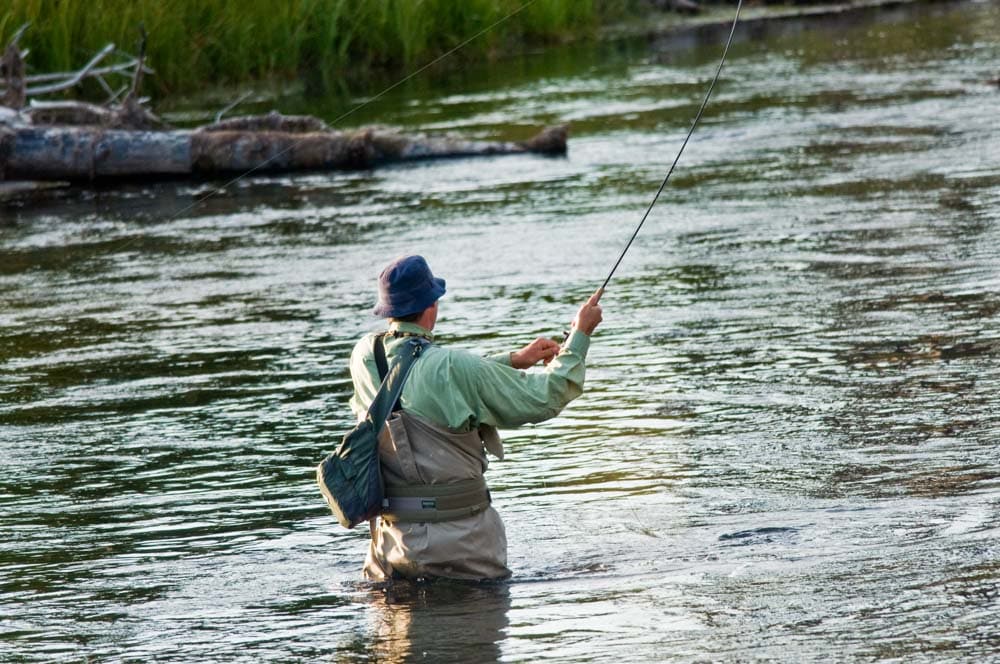 What to do in Bozeman, Montana: Fly Fishing