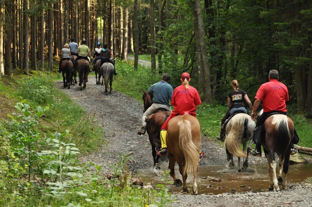 What to do in Monteverde, Costa Rica: Horse Trek Monteverde