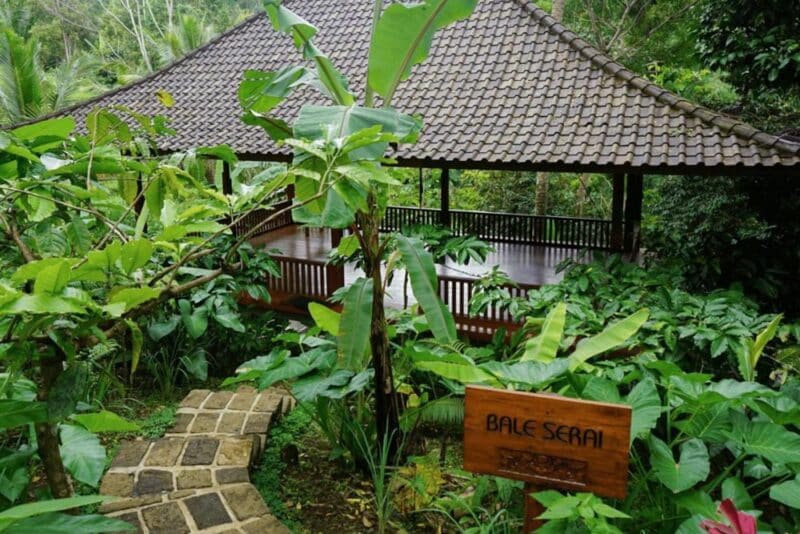 Where to Stay for Honeymoon in Bali, Indonesia: Clove Tree Hill