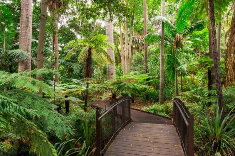 2 Week Australia Itinerary: Royal Botanic Gardens