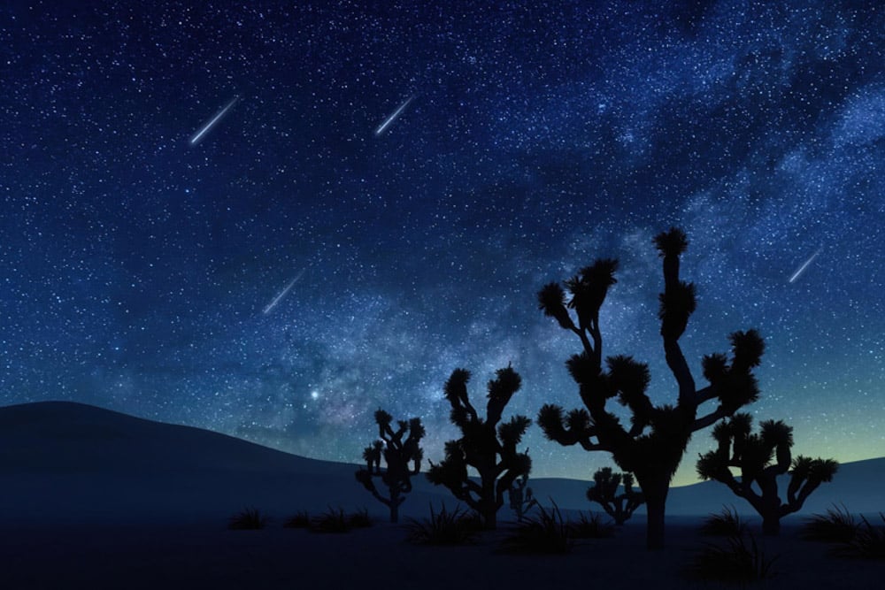 Best Los Angeles Day Trips: Joshua Tree National Park