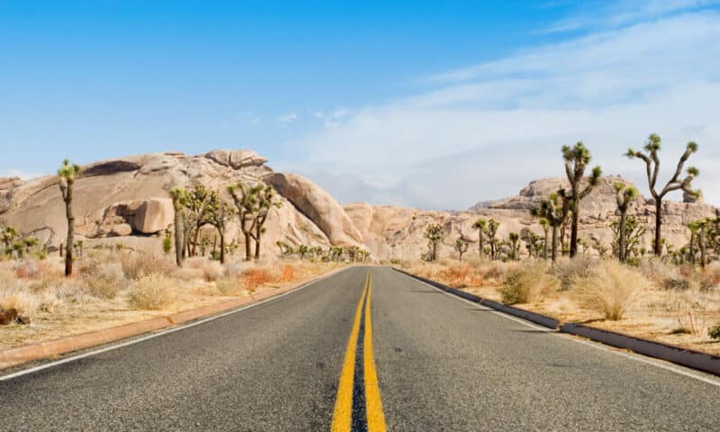 Best Places to Visit Near Los Angeles: Joshua Tree National Park
