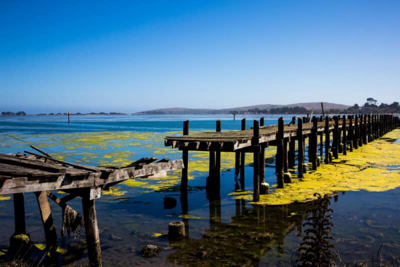 Best Places to Visit near San Francisco: Bodega Bay