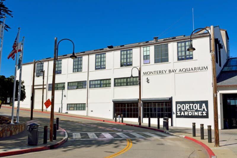 Best Places to Visit near San Francisco: Monterey Bay Aquarium