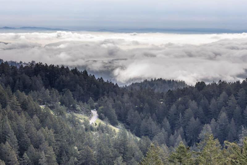 Best San Francisco Day Trips: Mount Tamalpais State Park