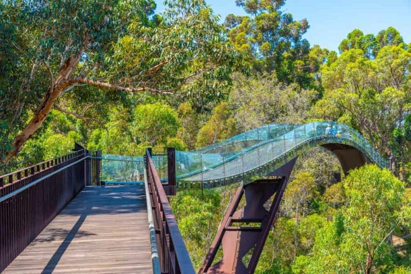 Best Things to do in Perth, Australia: Kings Park