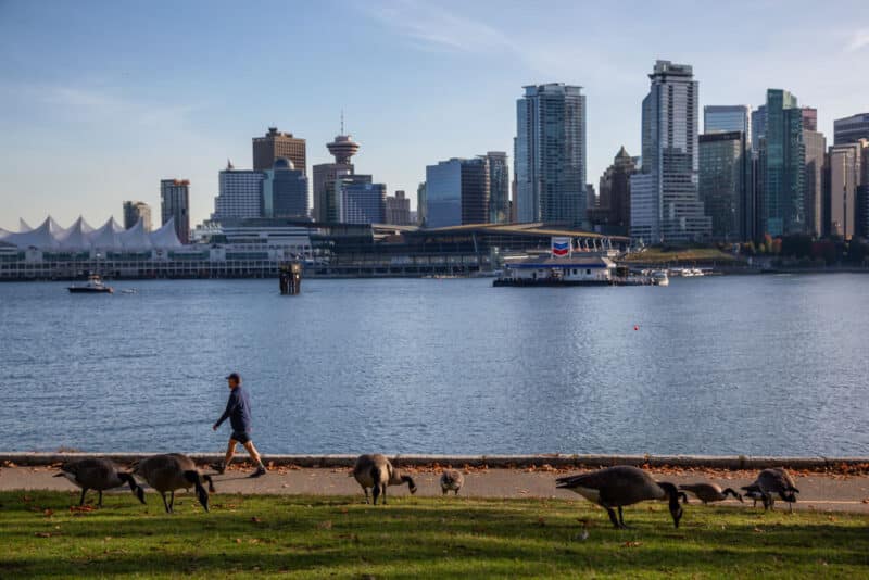 Best Things to do in Vancouver, Canada: Stanley Park