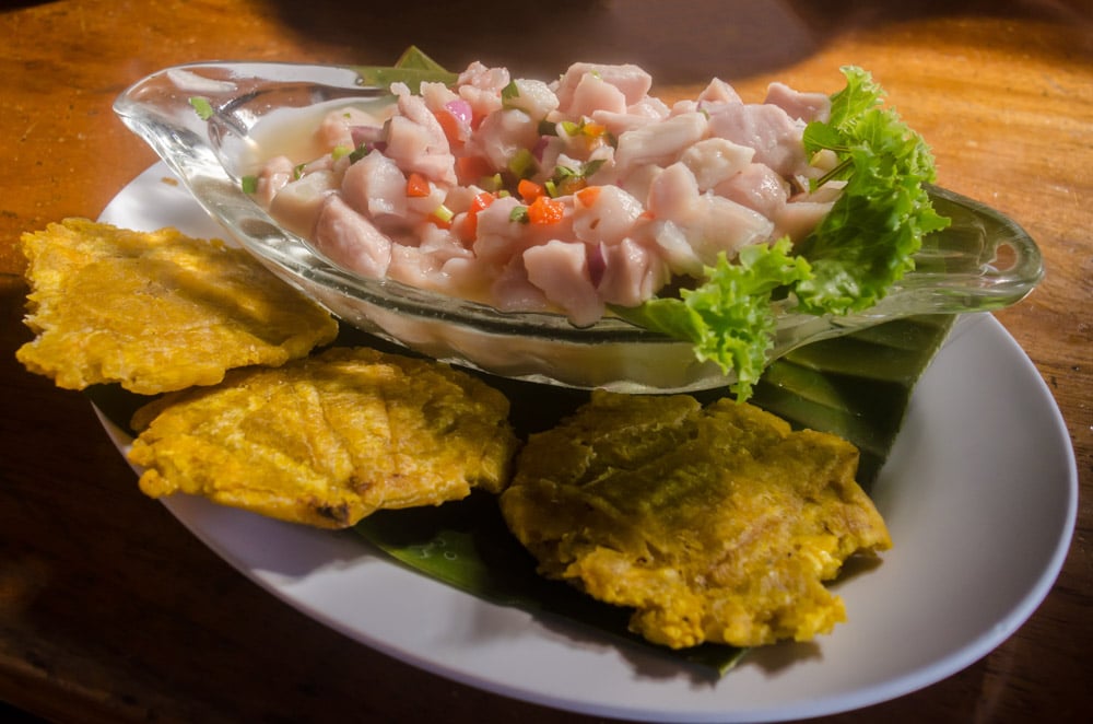 Classic Dishes to Try in Costa Rica: Ceviche
