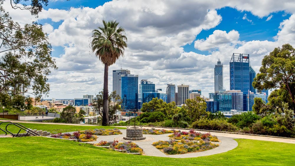 Cool Things to do in Perth, Australia: Kings Park