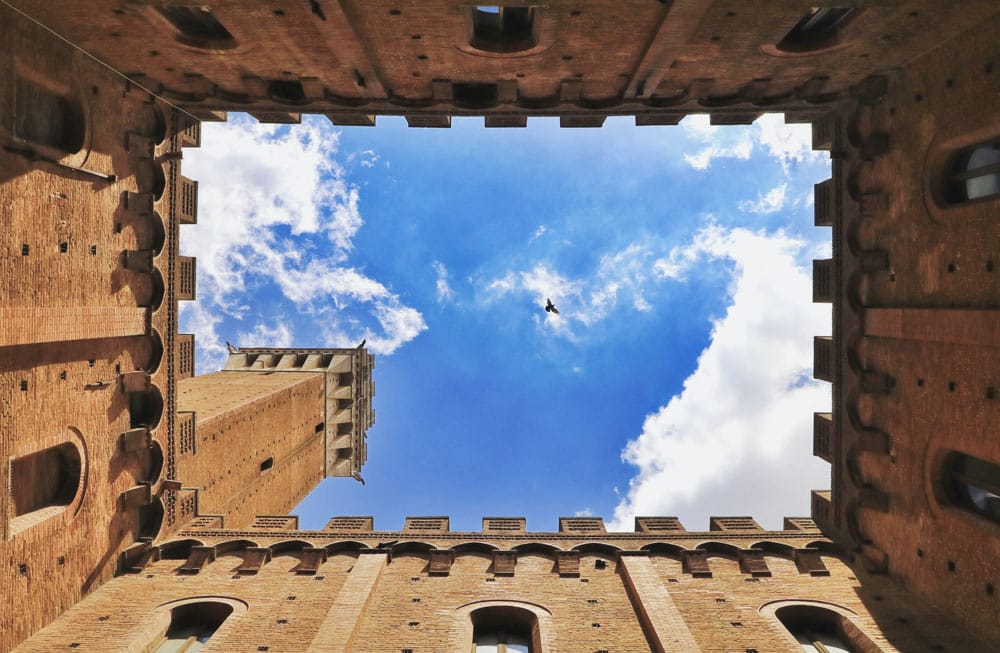 Cool Things to do in Siena, Italy: Torre del Mangia