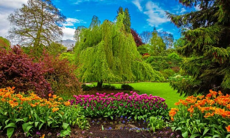 Cool Things to do in Vancouver, Canada: Queen Elizabeth Park