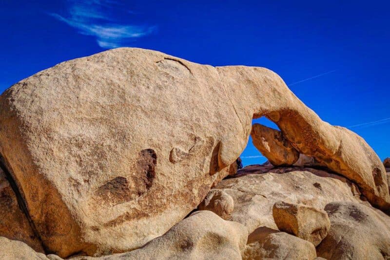 Day Trips from Los Angeles: Joshua Tree National Park