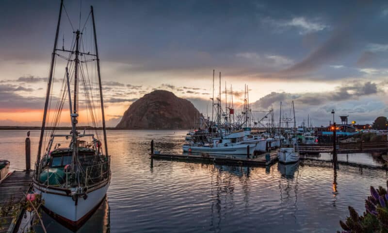 Day Trips from San Francisco: Morro Bay