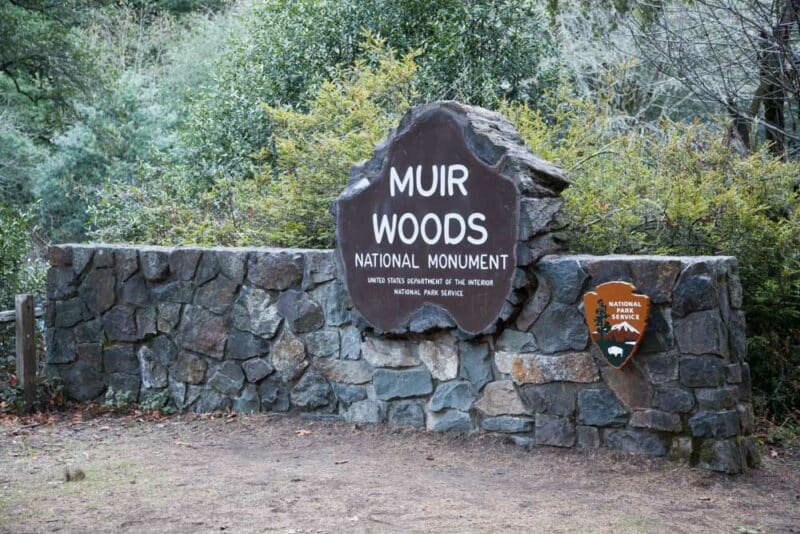 Day Trips from San Francisco: Muir Woods National Monument