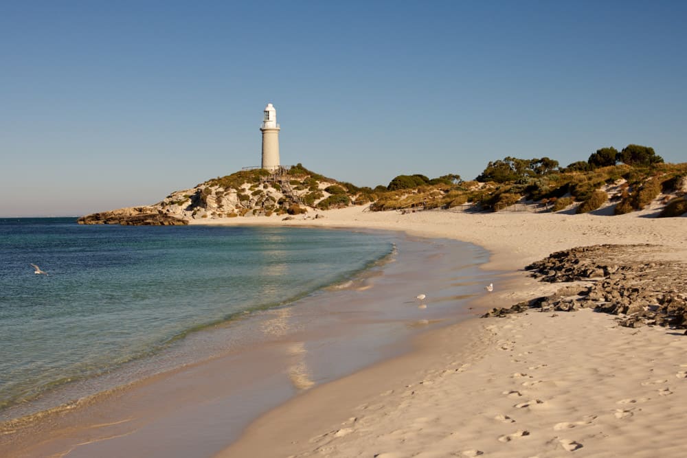 Must do things in Perth, Australia: Rottnest Island