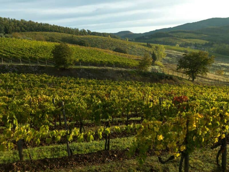 Must do things in Tuscany: Chianti