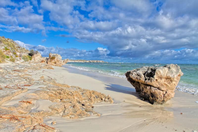 Perth, Australia Bucket List: Rottnest Island
